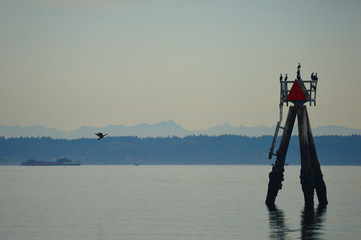 Puget Sound Bouy Marker with Birds