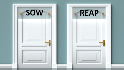 Sow and reap as a choice - pictured as words Sow, reap on doors to show that Sow and reap are opposite options while making decision, 3d illustration