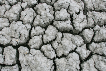 Photo of dried cracked soil surface