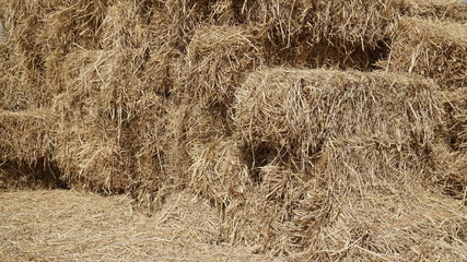 The straw pile is stored as a food of the horse.
