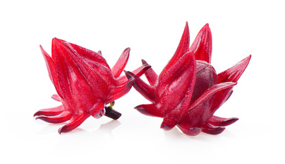 Roselle fruits, isolated on white background