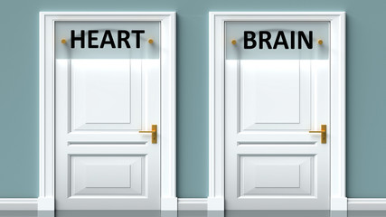 Heart and brain as a choice - pictured as words Heart, brain on doors to show that Heart and brain are opposite options while making decision, 3d illustration