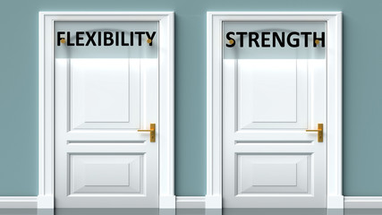 Flexibility and strength as a choice - pictured as words Flexibility, strength on doors to show that Flexibility and strength are opposite options while making decision, 3d illustration