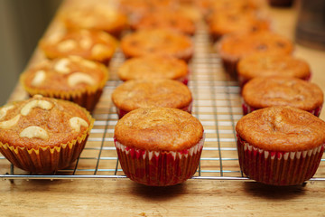 A lot of banana cupcakes on a cooling rack, some pieces have cashew nut or chocolate chip that on the wooden table