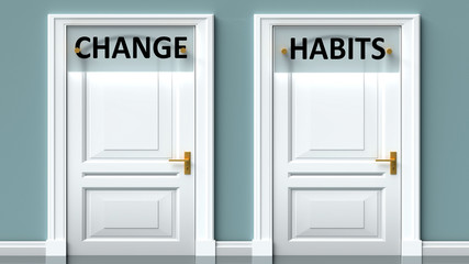 Change and habits as a choice - pictured as words Change, habits on doors to show that Change and habits are opposite options while making decision, 3d illustration