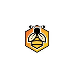 Bee in the hexagon and flat design elements. Design concept icons for application development  web design  creative process  social media  seo  web page coding and programming