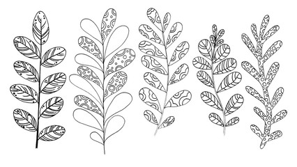 A set of different branches. Cute flowers. Suitable for prints, postcards, fabric. Graphics. Hand drawn