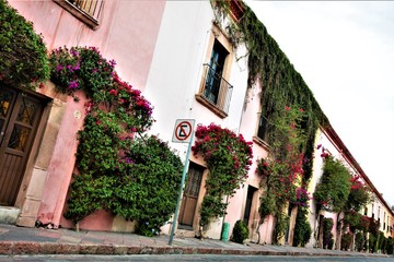 Fototapeta na wymiar Downtown Queretaro 