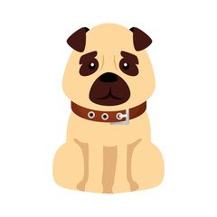 cute dog animal isolated icon vector illustration design