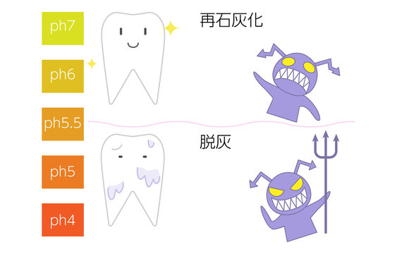 再石灰化と脱灰のpH値による歯と虫歯菌のイメージイラスト