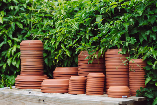 Stacks of Terracotta in Greenery