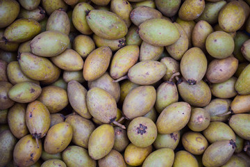 Sapodilla fruit (Manilkara zapota)