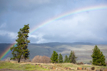 Oregon Rainbow Chase