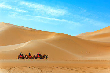 Dunhuang mingsha mountain camel team