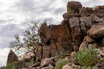 Fototapeta na wymiar Sonoran Desert Rock Formation