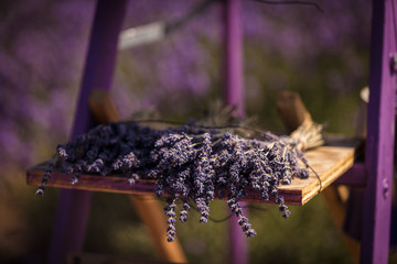 Fresh cut lavender bundle 