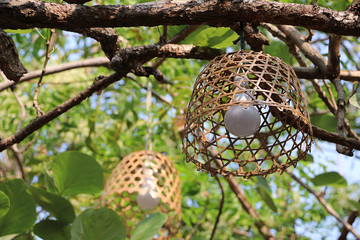 Closeup bamboo lamp with tree, Beautiful rattan texture surface, bamboo pattern, handmade pendant lighting