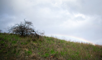 Oregon Rainbow Chase