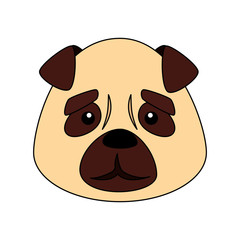 face of cute dog animal isolated icon vector illustration design