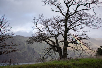 Oregon Rainbow Chase
