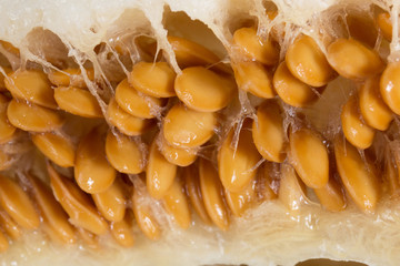 The core of ripe juicy melon with seeds. Closeup