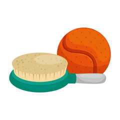 brush pet with ball toy isolated icon vector illustration design