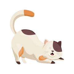 cute little cat animal icon vector illustration design