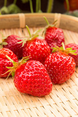 有機家庭菜園　竹ザルに収穫された苺