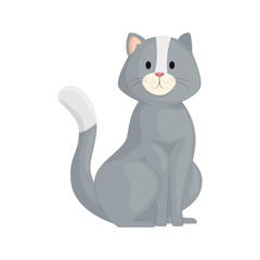 cute little cat animal icon vector illustration design