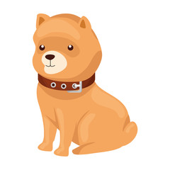 cute dog animal isolated icon vector illustration design