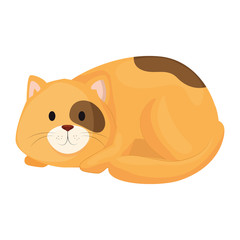 cute little cat animal icon vector illustration design