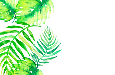 Watercolor frame tropical leaves and branches isolated. Palm leaf background, postcard. Green tropical palm leaf, bamboo. Illustration for design wedding invitations, greeting cards, postcards  © helgafo