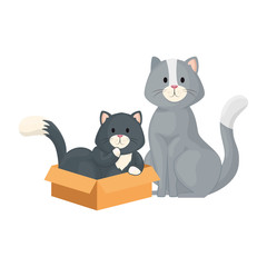 cute little cats with box carton isolated icon vector illustration design
