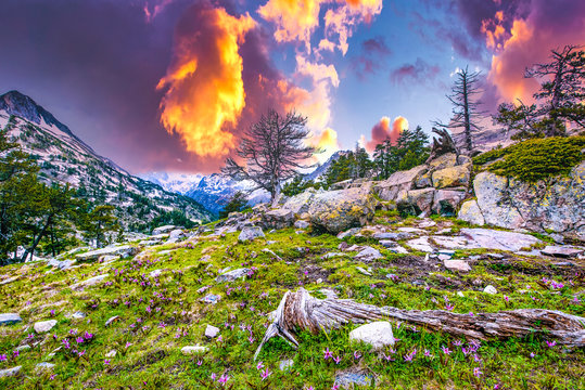 Beautifull nature in National Park Possets y Maladeta, Pyrenees, Spain. ,located above Benasque valley, near the town of Benasque in Huesca province, in the north of Aragon