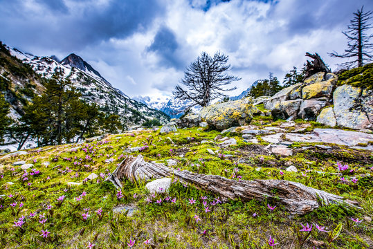Beautifull nature in National Park Possets y Maladeta, Pyrenees, Spain. ,located above Benasque valley, near the town of Benasque in Huesca province, in the north of Aragon