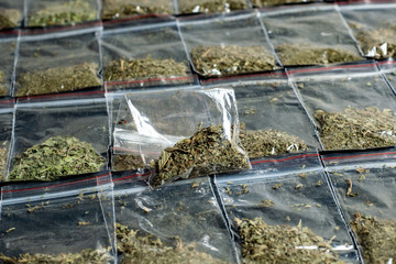 Fototapeta na wymiar crime evidence: many packaged doses of cannabis lie in rows on a dark surface