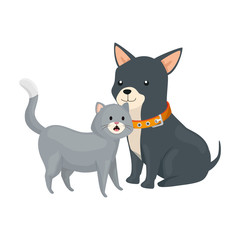 cute cat and dog animals isolated icon vector illustration design