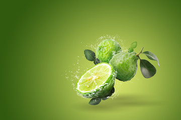 Water splashing on Bergamot fruit on green background - obrazy, fototapety, plakaty