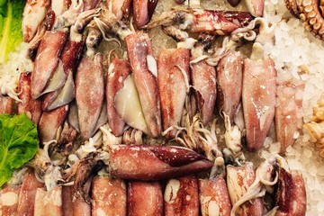 Stall with squids at fish market