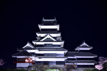 松本城「夜桜会」