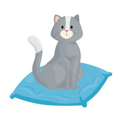 cute little cat in cushion isolated icon vector illustration design