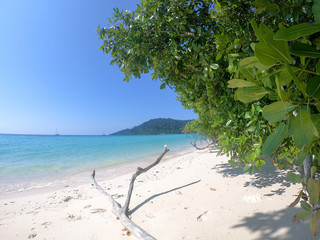 empty tropical beach with green trees in koh kradan in thailand