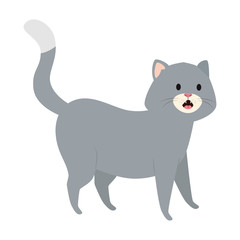cute little cat animal icon vector illustration design