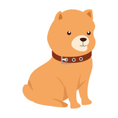 cute dog animal isolated icon vector illustration design