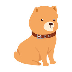 Obraz premium cute dog animal isolated icon vector illustration design