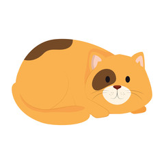 cute little cat animal icon vector illustration design