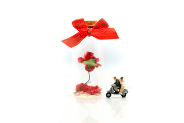 Miniature people : Couple lover with rose and gift box,Lover valentines day concept.