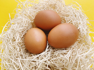 Close up of three chicken brown eggs in the natural hay on yellow background. For Easter, design, poultry, agriculture, cooking theme.