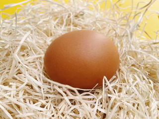 Close up of a chicken brown egg in the natural hay on yellow background. For Easter, design, poultry, agriculture, cooking theme. Horizontal.