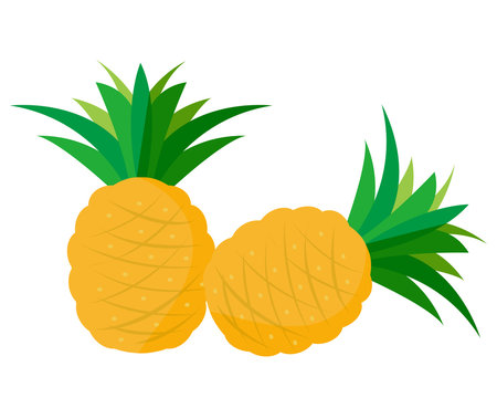 パインアップル Images Browse 1 429 Stock Photos Vectors And Video Adobe Stock パインアップル Images Browse 1 429 Stock Photos Vectors And Video Adobe Stock